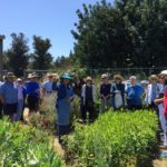 Emeritus DVC Garden Tour