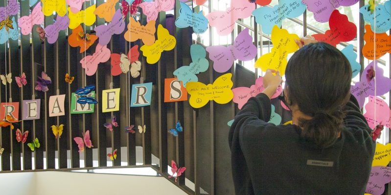 Student looking at DREAMers display